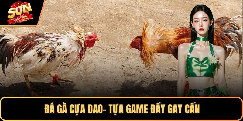 Đá gà cựa dao- Tựa game đầy gay cấn