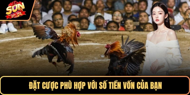 Đặt cược phù hợp với số tiền vốn của bạn