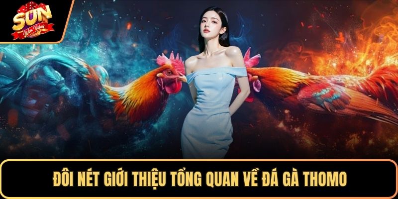 Đôi nét giới thiệu tổng quan về đá gà Thomo