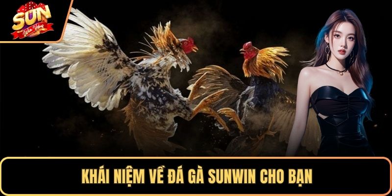Khái niệm về đá gà SUNWIN cho bạn