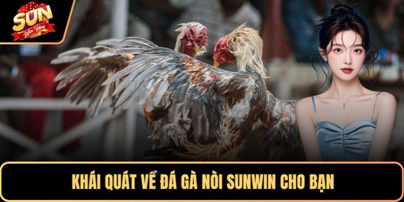 Khái quát về đá gà nòi SUNWIN cho bạn