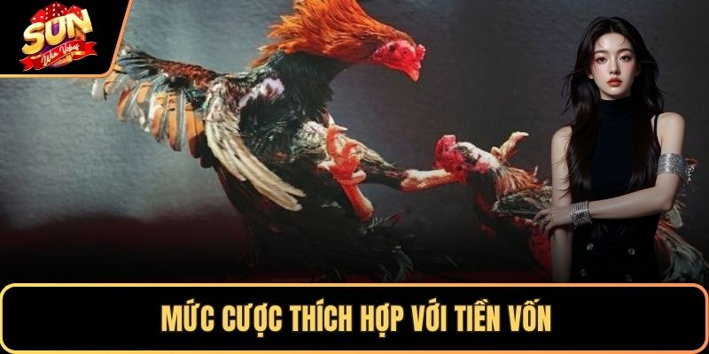 Mức cược thích hợp với tiền vốn