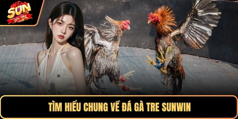 Tìm hiểu chung về đá gà tre SUNWIN